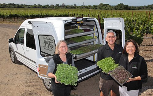Co-Founders Kathy Patterson, Stacey Schuett, and Fred Patterson from SEBASTOPOL MICROGREENS